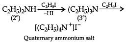 Class 12 Chemistry: CBSE Sample Question Paper- Term II (2021-22)- 4 | Sample Papers for Class 12 Medical and Non-Medical