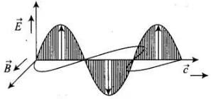 NCERT Exemplar: Electromagnetic Waves | Physics for JEE Main & Advanced