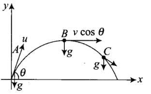 NCERT Exemplar: Motion in a Plane- 1