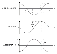 Velocity & Acceleration in Simple Harmonic Motion | Physics for JAMB
