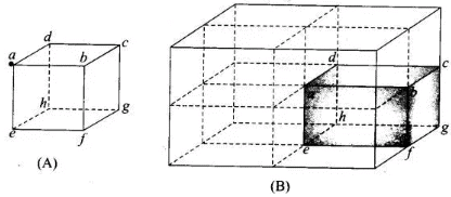 NCERT Exemplars - Electric Charges and Fields | Physics for Airmen Group X - Airforce X Y / Indian Navy SSR