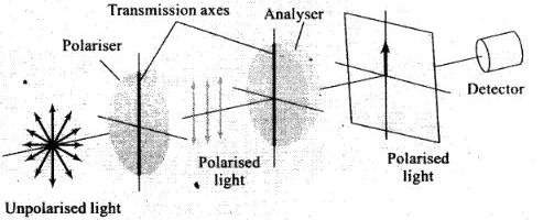 NCERT Exemplar: Wave Optics | Physics Class 12 - NEET