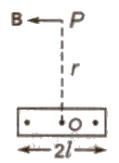 Magnetic Dipole | Physics Class 12 - NEET