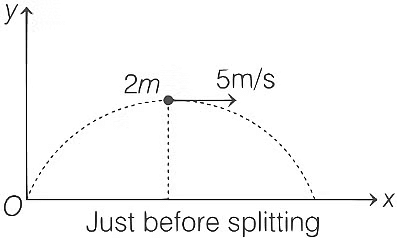 JEE Advanced Previous Year Questions (2018 - 2024): Laws of Motion | Physics for JEE Main & Advanced