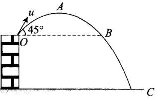 NCERT Exemplar: Motion in a Plane- 1