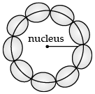 Class 12 Physics: CBSE Sample Question Paper- Term II (2021-22)- 4 | Sample Papers for Class 12 Medical and Non-Medical