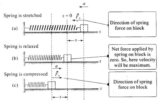 NCERT Exemplar: Motion in a Straight Line | Physics Class 11 - NEET