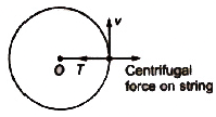Revision Notes: Circular Motion | Physics for JEE Main & Advanced