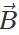 Short & Long Answer Questions: Motion in a Plane | Physics for JEE Main & Advanced