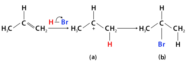 Mnemonics: Organic Chemistry : Some Basic Principles & Techniques | Chemistry Class 11 - NEET