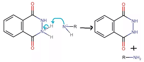 Gabriel Phthalamide Reaction - JEE