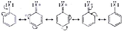 NCERT Exemplar: Haloalkanes and Haloarenes | Chemistry for JEE Main & Advanced
