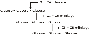 Polysaccharides: Starch, Cellulose & Glycogen | Chemistry for JEE Main & Advanced