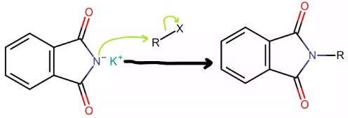 Gabriel Phthalamide Reaction - JEE