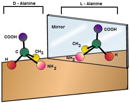 Depiction of Mirror Images of Alanine.