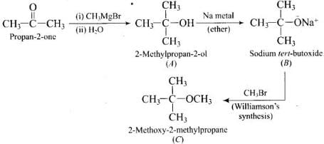 NCERT Exemplar: Aldehydes, Ketones & Carboxylic Acids | Chemistry Class 12 - NEET