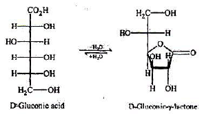 Carbohydrates: Monosaccharides, Disaccharides & Polysaccharides | Chemistry Class 12 - NEET