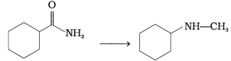 NCERT Exemplar: Amines | Chemistry Class 12 - NEET