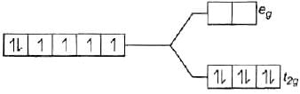 NCERT Exemplar: Coordination Compounds | Chemistry Class 12 - NEET