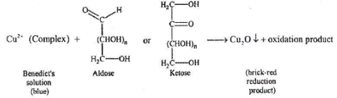 Carbohydrates: Monosaccharides, Disaccharides & Polysaccharides | Chemistry Class 12 - NEET