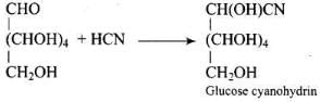 NCERT Exemplar: Biomolecules | Chemistry Class 12 - NEET
