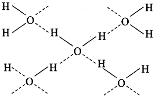 NCERT Exemplar: Chemical Bonding & Molecular Structure | Chemistry Class 11 - NEET