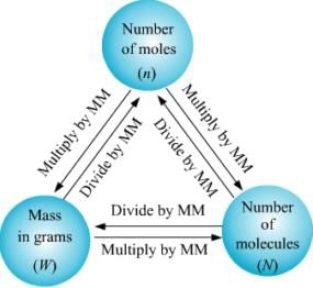 MM: Molecular Mass