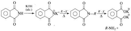NCERT Exemplar: Amines | Chemistry Class 12 - NEET