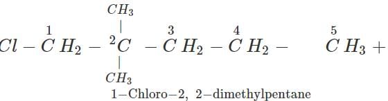 Short & Long Answer Questions: Hydrocarbons | Organic Chemistry for NEET