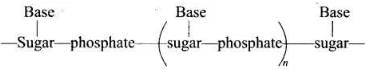 NCERT Exemplar: Biomolecules | Chemistry Class 12 - NEET