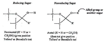 Carbohydrates: Monosaccharides, Disaccharides & Polysaccharides | Chemistry Class 12 - NEET