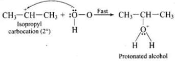 NCERT Exemplar: Alcohols, Phenols & Ethers | Chemistry Class 12 - NEET