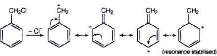 NCERT Exemplar: Haloalkanes and Haloarenes | Chemistry for JEE Main & Advanced