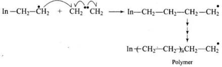 NCERT Exemplar: Polymers (Old NCERT) | Chemistry for JEE Main & Advanced
