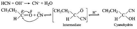 NCERT Exemplar: Aldehydes, Ketones & Carboxylic Acids | Chemistry Class 12 - NEET