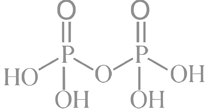 JEE Main Previous Year Questions (2023): Chemical Bonding & Molecular Structure