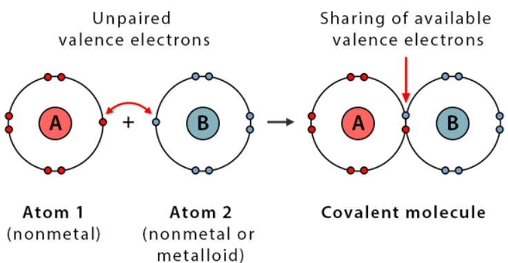 Mnemonics: Chemical Bonding and Molecular Structure | Chemistry Class 11 - NEET