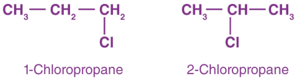 Isomerism in Alkanes, Alkenes & Alkynes | Chemistry Class 11 - NEET