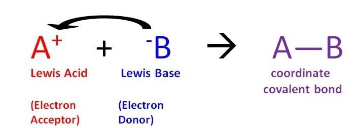 Acids, Bases & Salts | Chemistry Class 11 - NEET