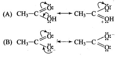 NCERT Exemplar: Some Basic Principles & Techniques | Chemistry Class 11 - NEET