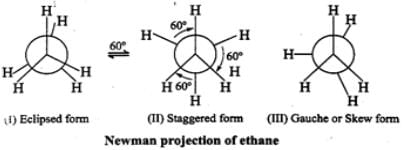 Short & Long Answer Questions: Hydrocarbons | Organic Chemistry for NEET