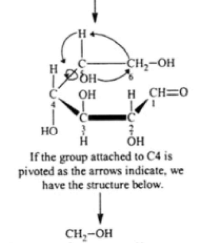 Carbohydrates: Monosaccharides, Disaccharides & Polysaccharides | Chemistry Class 12 - NEET