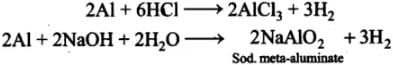 NCERT Exemplar: The p-Block Elements (Class 11) | Chemistry Class 11 - NEET