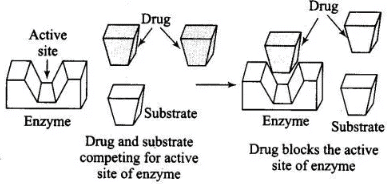 NCERT Exemplar: Chemistry in Everyday Life (Old NCERT) | Chemistry for JEE Main & Advanced