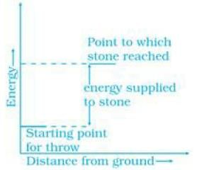 NCERT Exemplar: Thermodynamics - 2 | NCERT Exemplar & Revision Notes for NEET