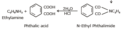 Basic Character & Preparation of Amines | Chemistry Class 12 - NEET