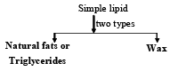 Overview of Polymers: Addition & Polymerization | Chemistry for JEE Main & Advanced