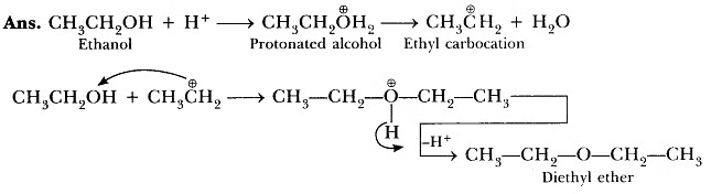 Ethers: Properties, Preparation and Reactions | Chemistry for JEE Main & Advanced