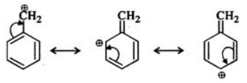 Short & Long Answer Questions: Organic Chemistry - Some Basic Principles & Techniques | Organic Chemistry for NEET