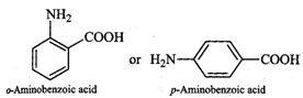 Short & Long Answer Questions: Biomolecules | Organic Chemistry for NEET